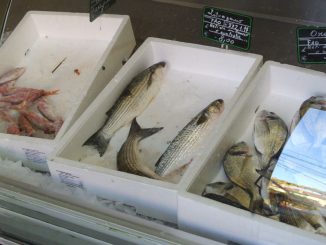 Fischmarkt Grado - goodstuff AlpeAdria
