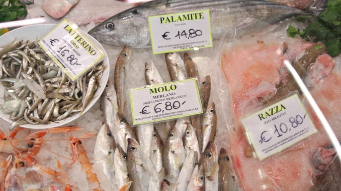 Fische - Molo - goodstuff AlpeAdria