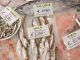 Fische - Molo - goodstuff AlpeAdria