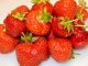 frische Erdbeeren - goodstuff AlpeAdria