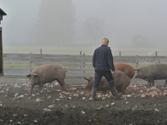 Im Schweinegarten von Stefan Schellander - goodstuff AlpeAdria