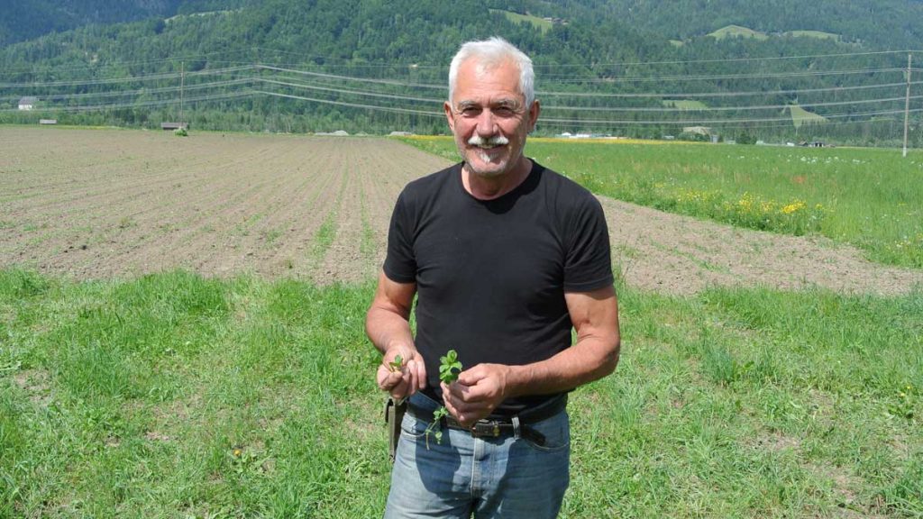 Sepp Brandstätter am Maisacker - goodstuff AlpeAdria