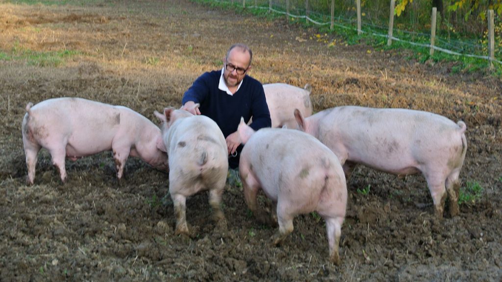 Stefano Calligaris unter Schweinen - goodstuff AlpeAdria