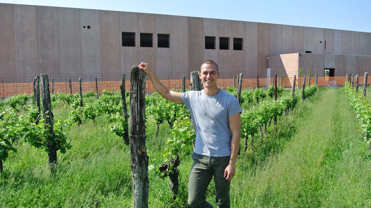 Mattia Scarbolo im Weingarten bei der neuen Kellerei - goodstuff AlpeAdria