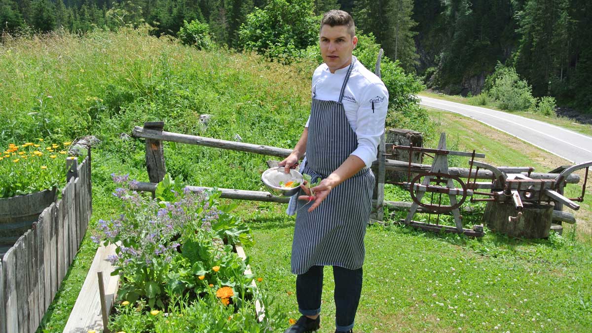 Chef Federico erntet Gemüse und Kräuter - goodstuff AlpeAdria