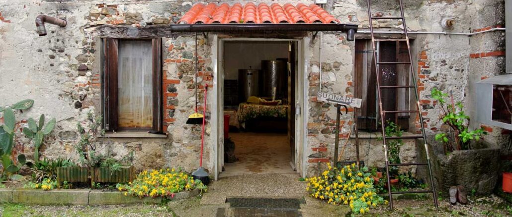 Giacomini-Hofladen - Spargel aus Tavagnacco - goodstuff AlpeAdria