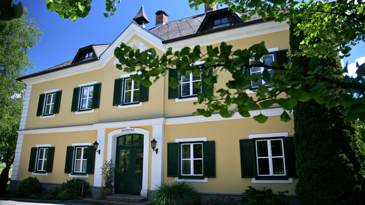Lavanttaler Spargel vom Kammerhof in St. Andrä, Kärnten - © Norbert Janesch