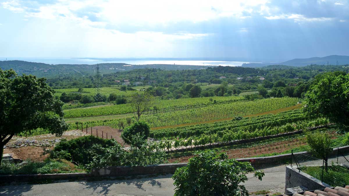 Zidarich in Prepotto - Wein im Karst - goodstuff AlpeAdria