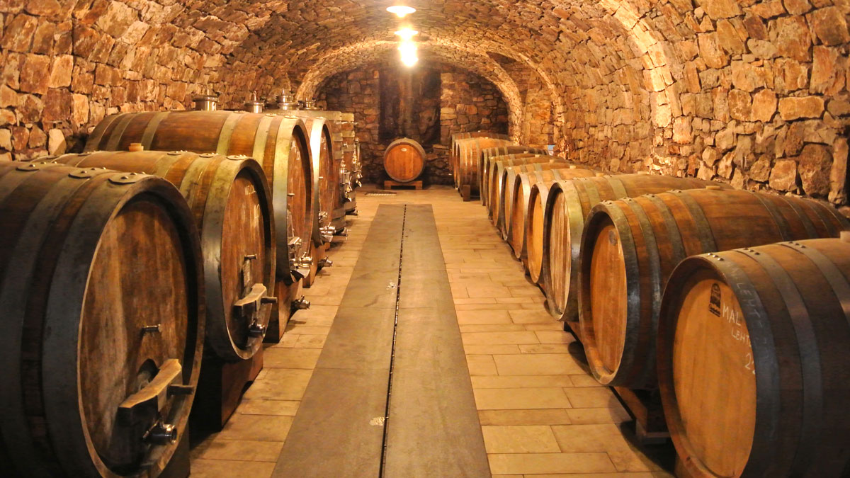 Weingut Zidarich - im Weinkeller - goodstuff AlpeAdria