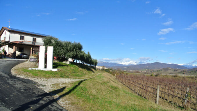 Weingut Specogna - Rocca Bernarda - Corno di Rosazzo, Italien - goodstuff AlpeAdria