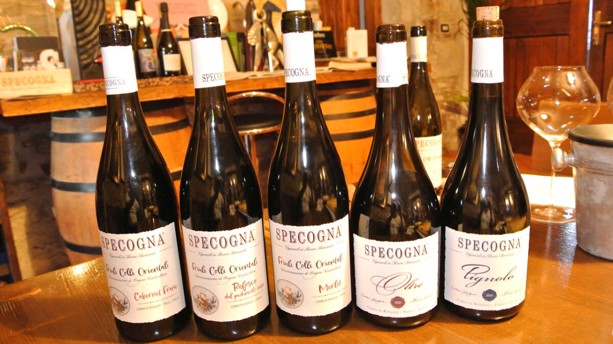 Specogna Weine - die Roten - goodstuff AlpeAdria