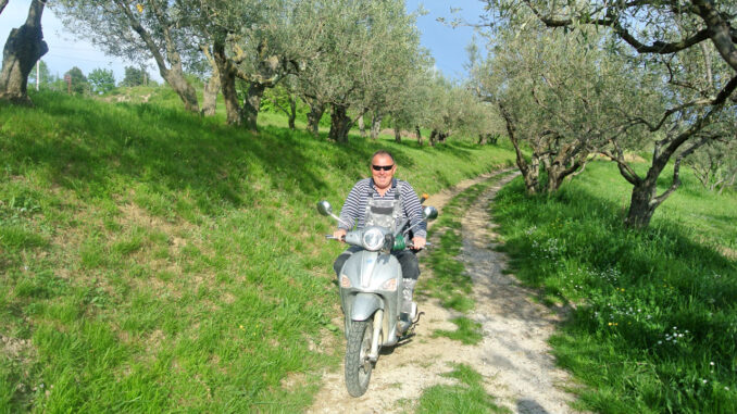 Janko Morgan im Olivenhain Janko Morgan im Olivenhain - goodstuff AlpeAdria