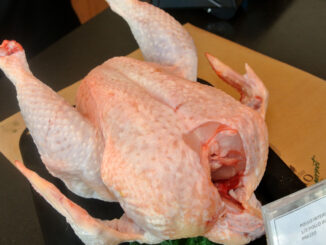 Bio-Huhn - goodstuff AlpeAdria