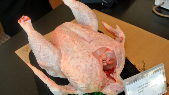 Bio-Huhn Bio-Huhn - goodstuff AlpeAdria