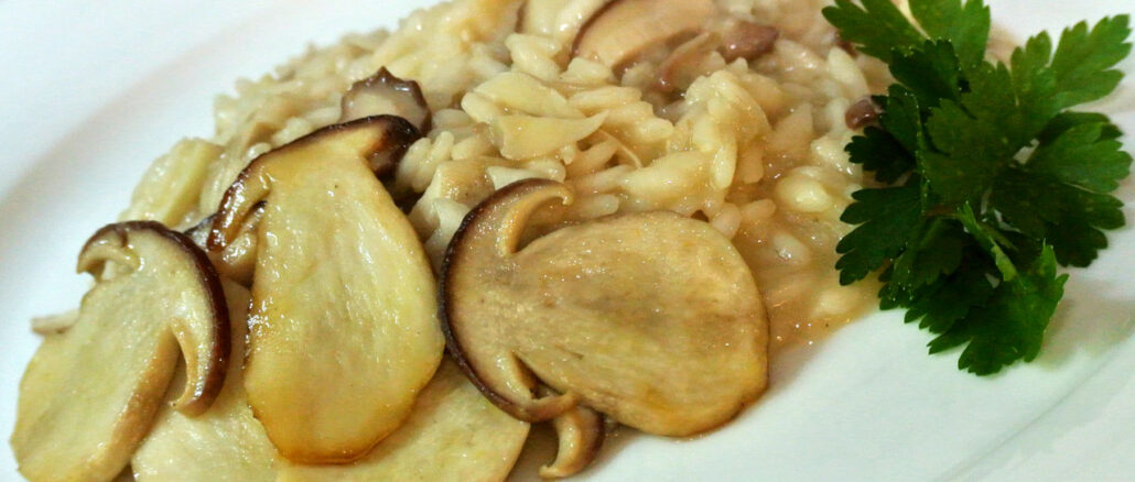 Steinpilzrisotto - goodstuff AlpeAdria