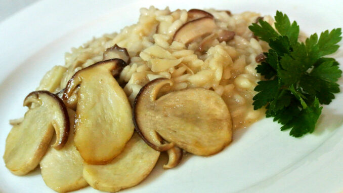 Steinpilzrisotto Steinpilzrisotto - goodstuff AlpeAdria