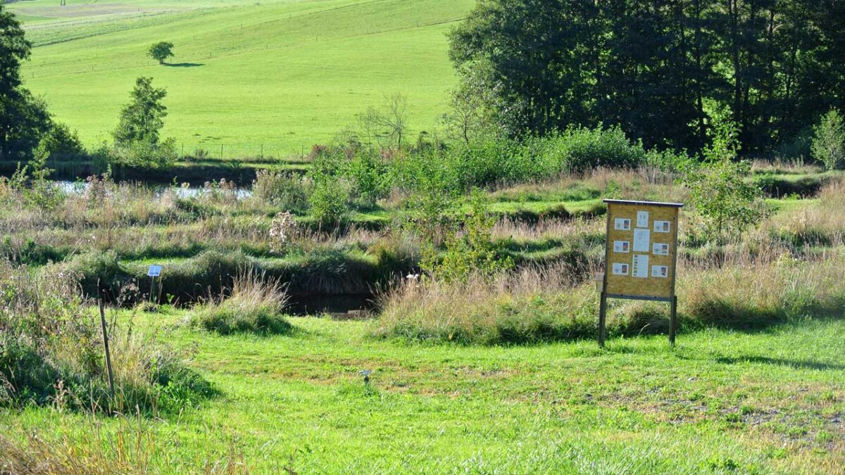 Kärntner Edelkrebse - Teichanlage in Guttaring, Kärnten - goodstuff AlpeAdria