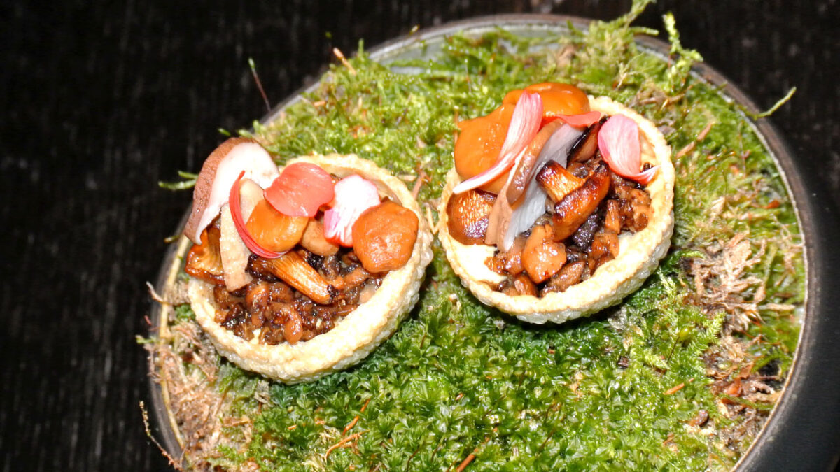 Waldpilze - TaBar - goodstuff AlpeAdria