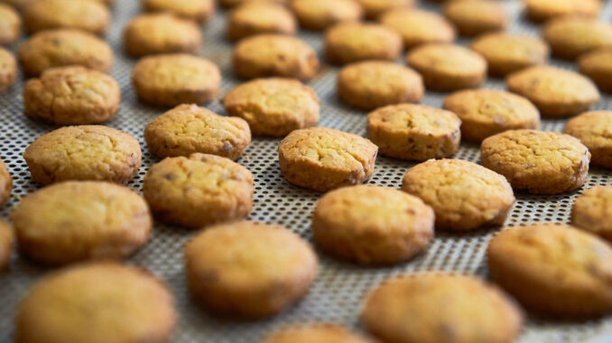 Biscotto Pordenone® - © Elisa Caldana