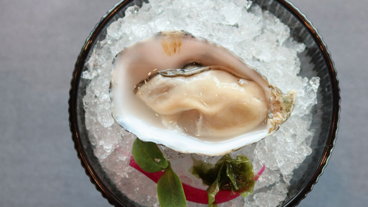 Auster im Vela Rossa - goodstuff AlpeAdria