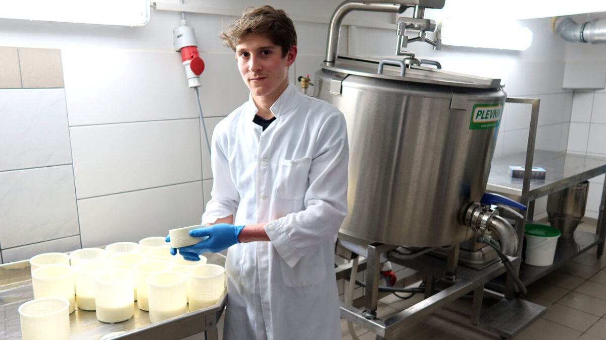 Elias Gradnitzer macht Schafskäse - goodstuff AlpeAdria