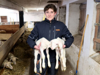 Elias präsentiert den Nachwuchs - goodstuff AlpeAdria