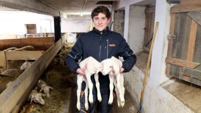 Elias präsentiert den Nachwuchs - goodstuff AlpeAdria