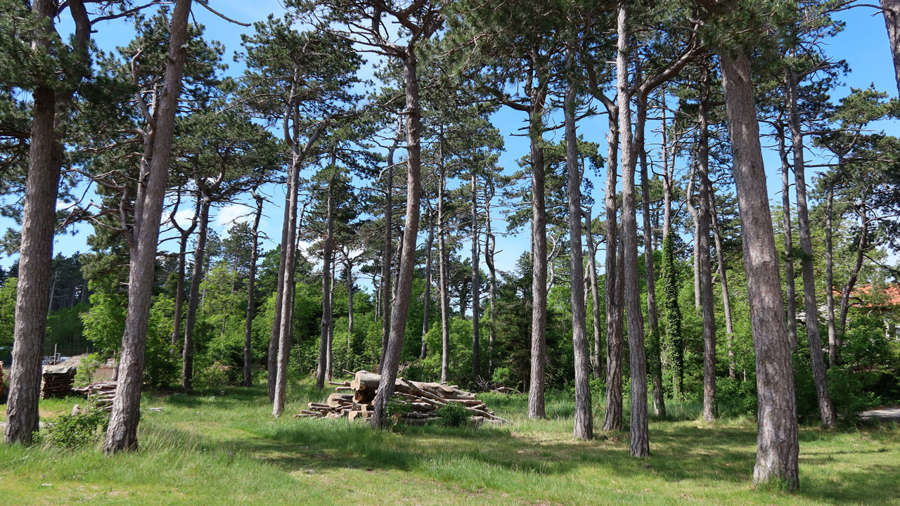 Im Karst von Podgorje, Slowenien - goodstuff AlpeAdria