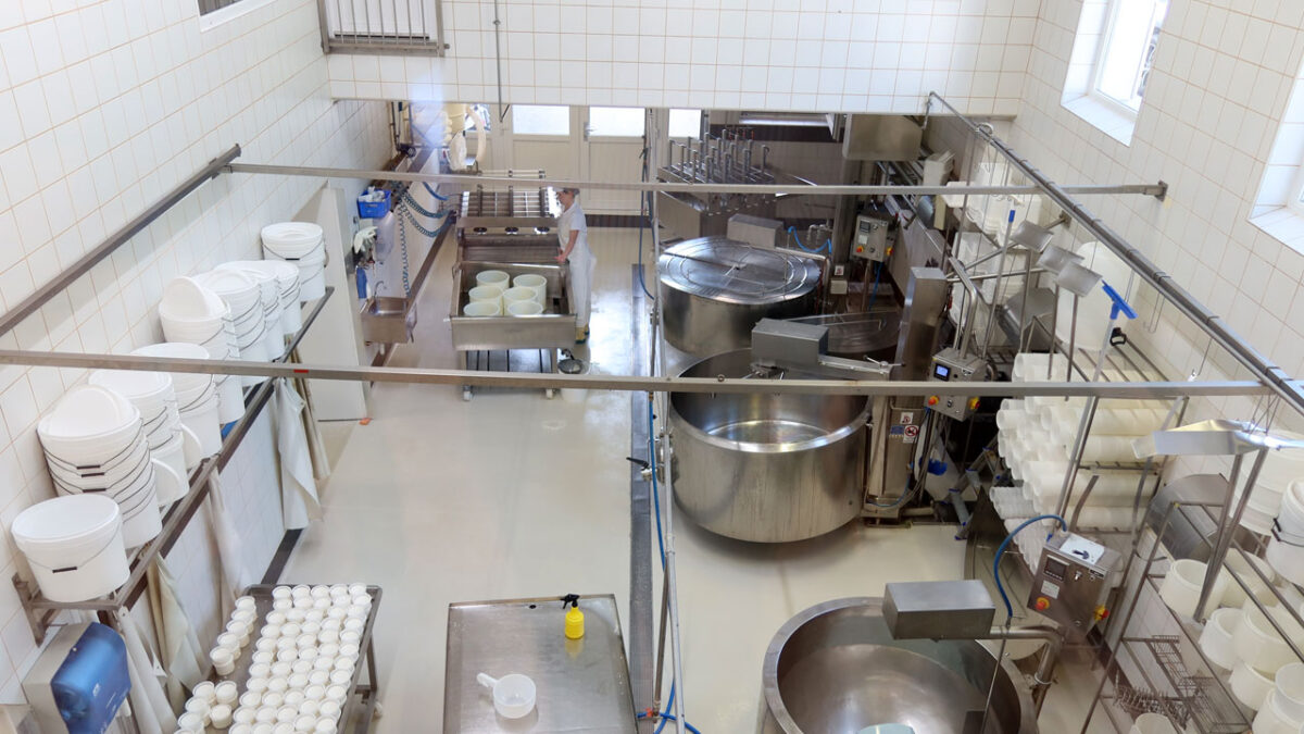 Käseproduktion - goodstuff AlpeAdria