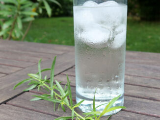 Tarkhun - Estragonlimonade - goodstuff AlpeAdria