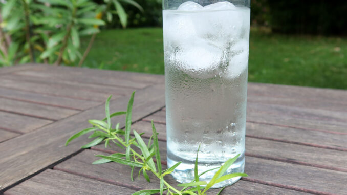 Tarkhun - Estragonlimonade - goodstuff AlpeAdria